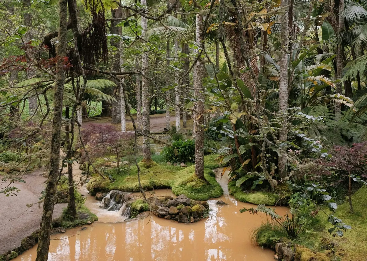 Mineral-rich thermal water winding through the subtropical forest of Terra Nostra Gardens
